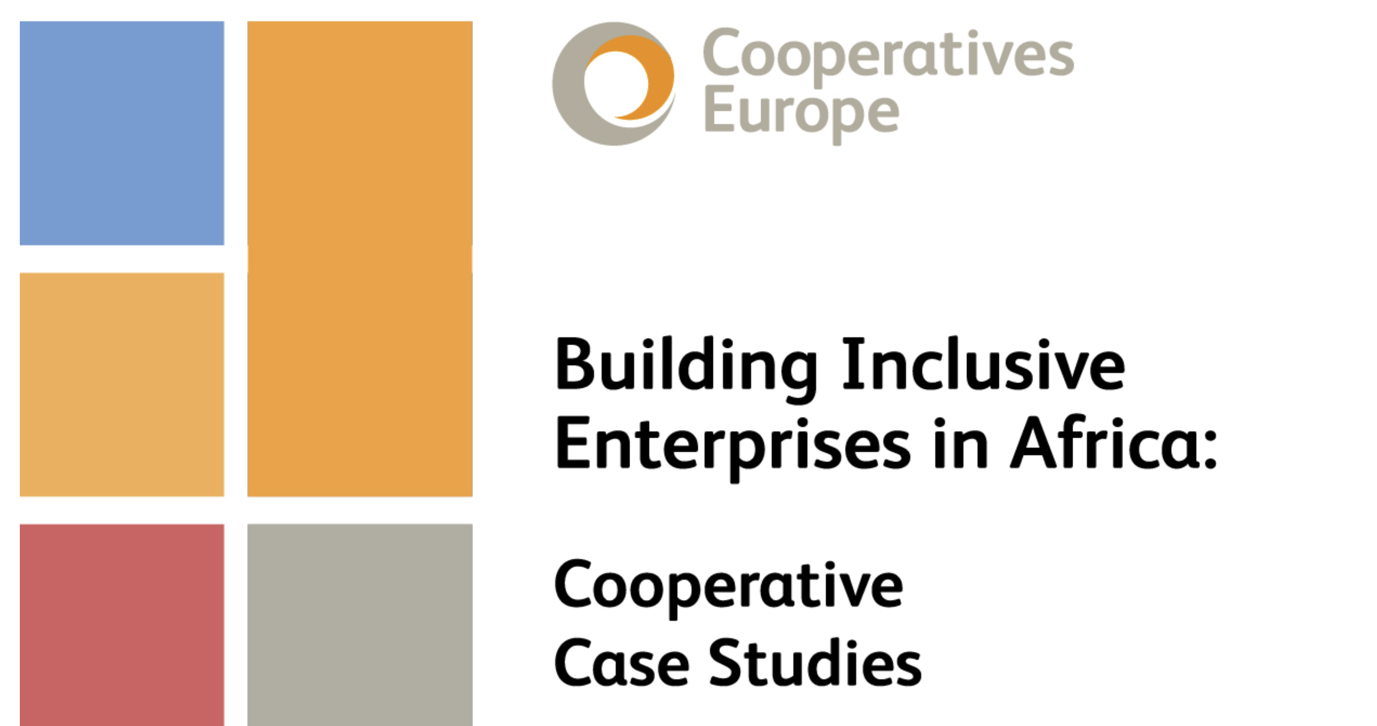 buiding inclusive enterprises in africa