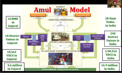 Amul's model