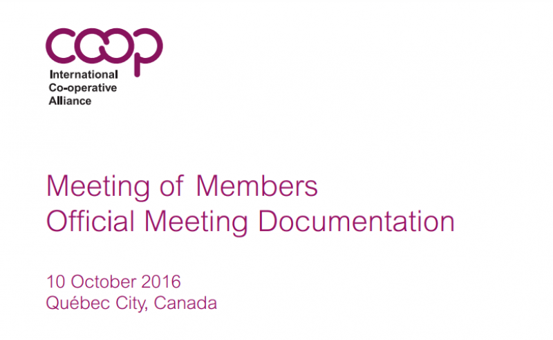 Cover official meeting docs