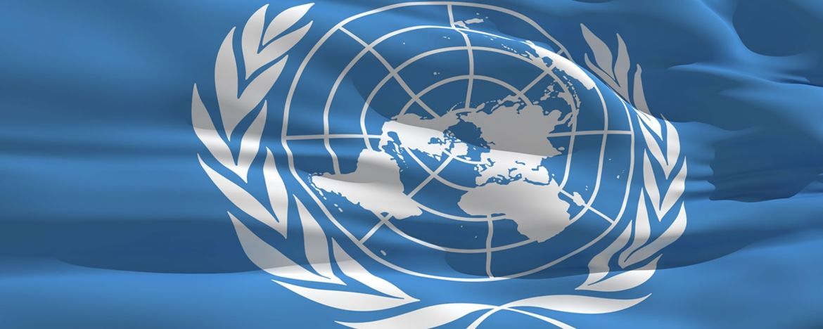 Call for NGOs to apply for ECOSOC consultative status | ICA